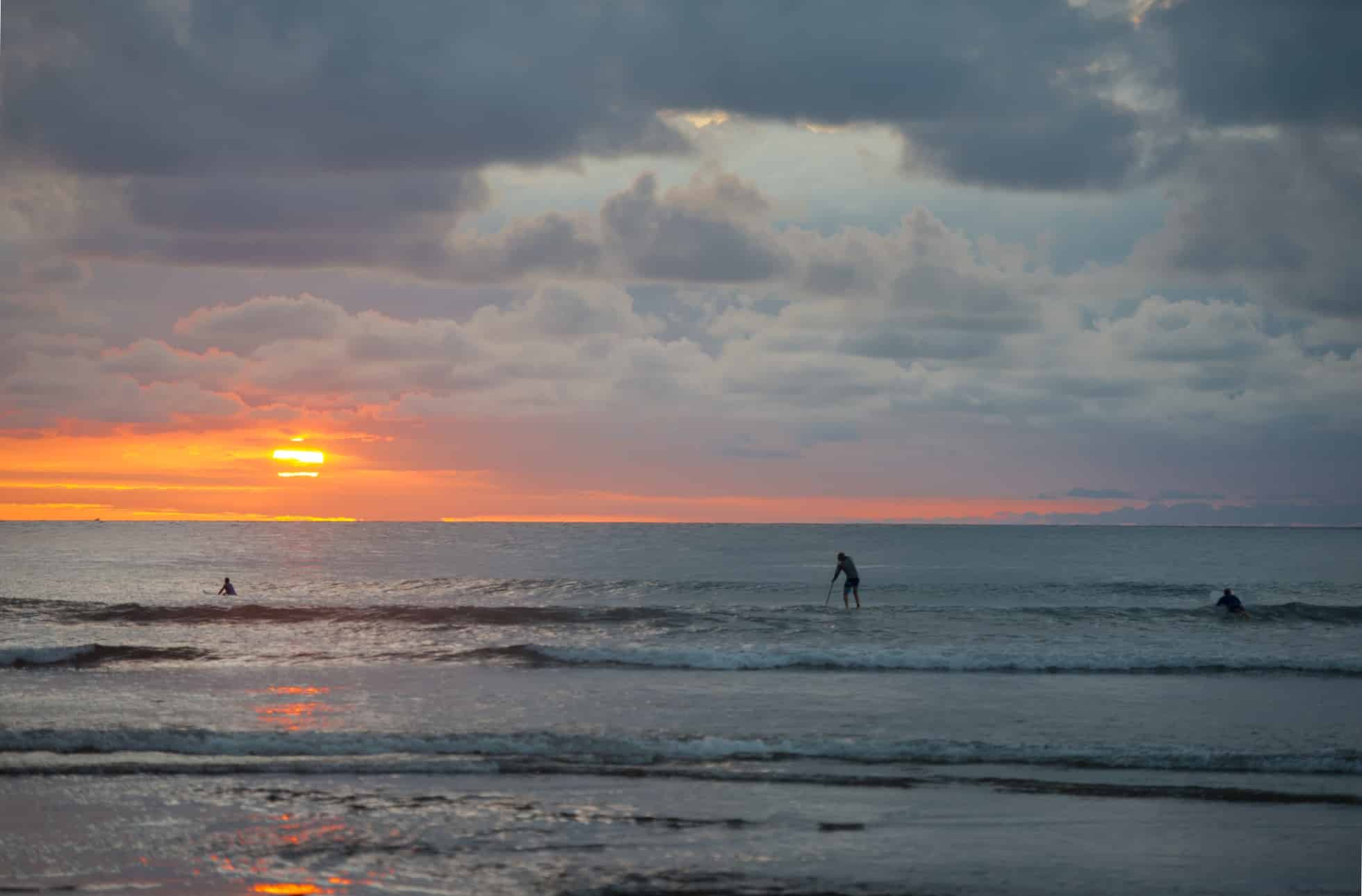 surfing