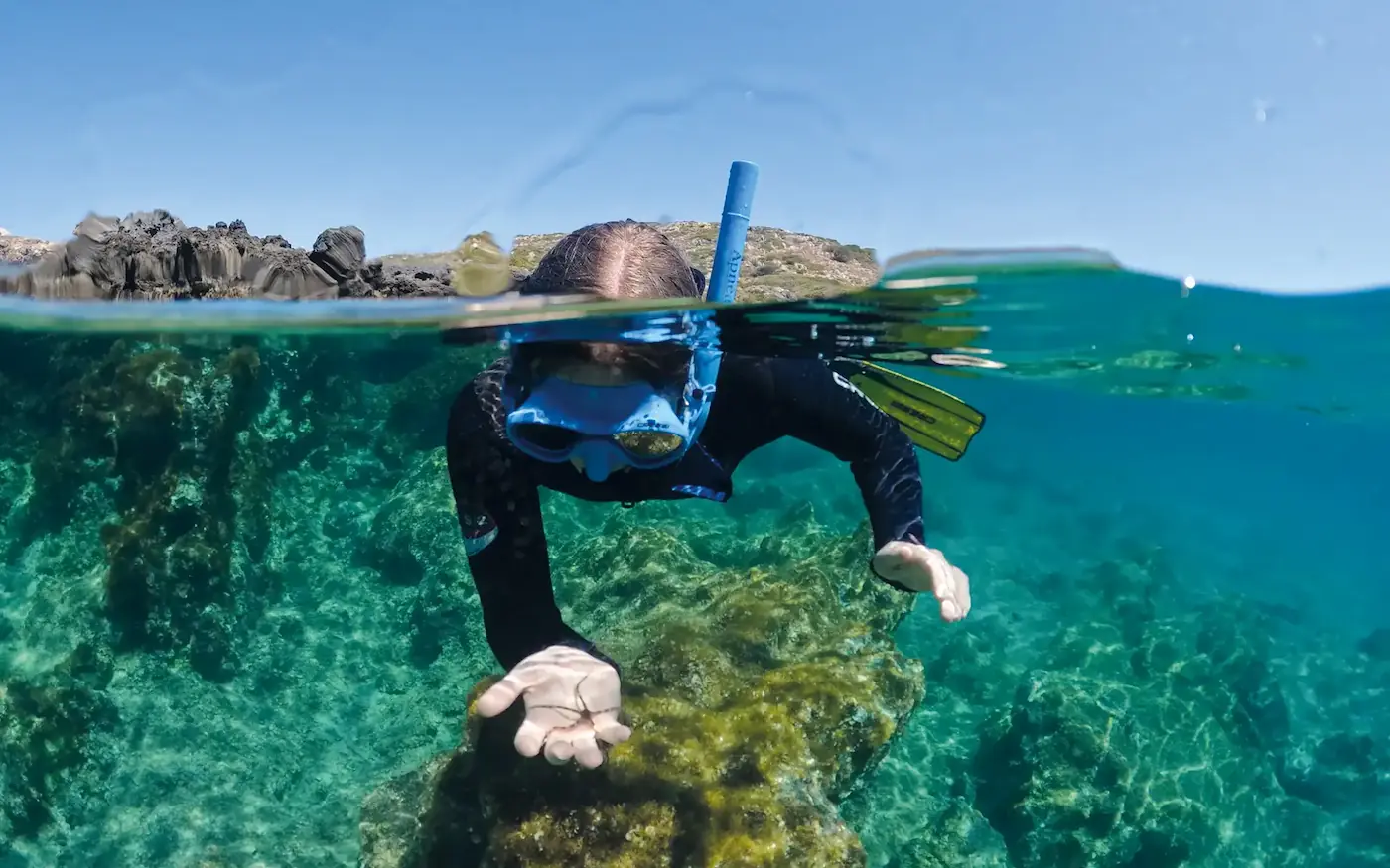 Snorkel Beach Sunset Tortuga Island half day tour